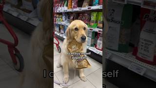 I can buy myself dog treats  #goldenretriever #dog #puppyvideos #puppy #dogs