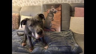 Obraz Na Plátno Z Fotky.