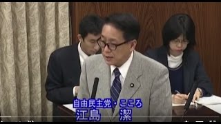 20170309　内閣委員会（江島潔議員）