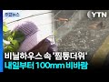 [날씨] 비닐하우스 속 '찜통 더위'...내일부터 비바람 '최고 100mm' / YTN