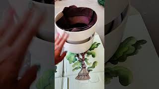 #planterswapsystem #plant #tendril #tendrilswapsystem #plants #houseplants