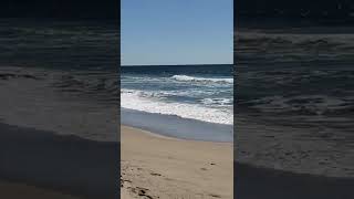 Information Huntington Beach, CA Update
