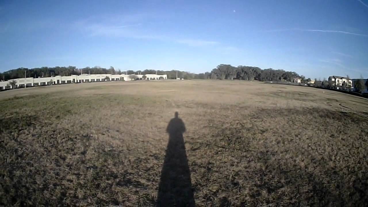 Warpquad 230- Suddenly lots of birds!