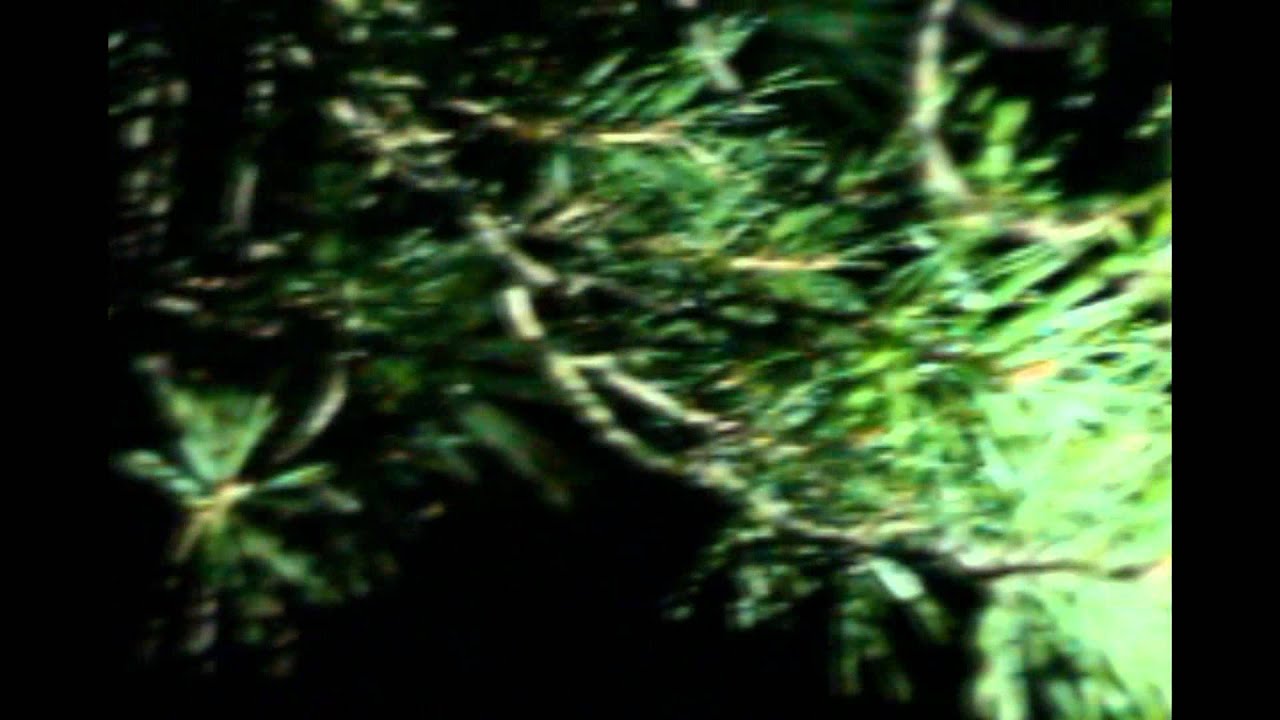 photo shoot by Marla Singer