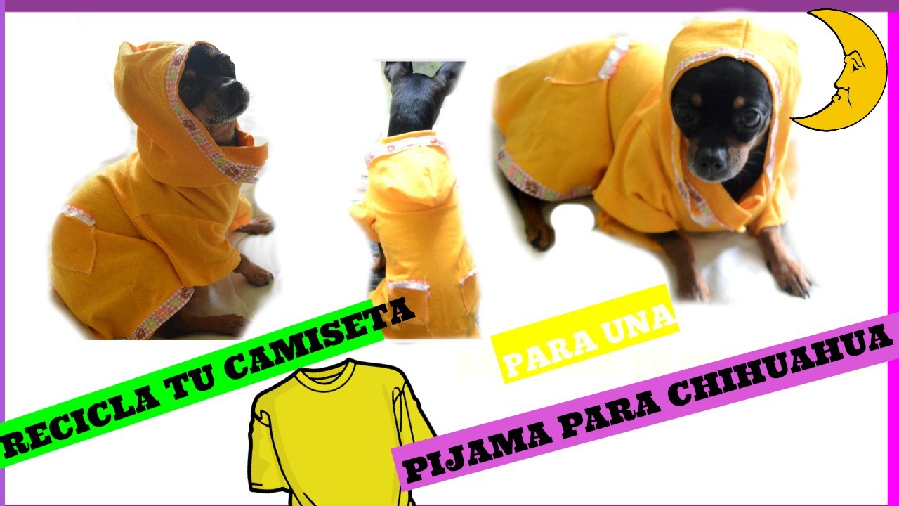 PARA CHIHUAHUA(HEMBRA) PIJAMA,RECICLANDO UNA CAMISETA. -