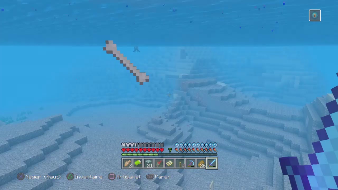 Comment Faire Un Poisson Dans Le Chat Minecraft
