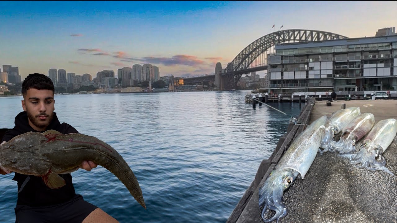 Targeting Kingfish Sydney Harbour | Also squidding | DeepInk squid jigs |
