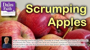 Dales Faith Wonderings: Scrumping Apples