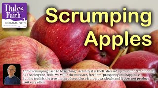 Dales Faith Wonderings Scrumping Apples