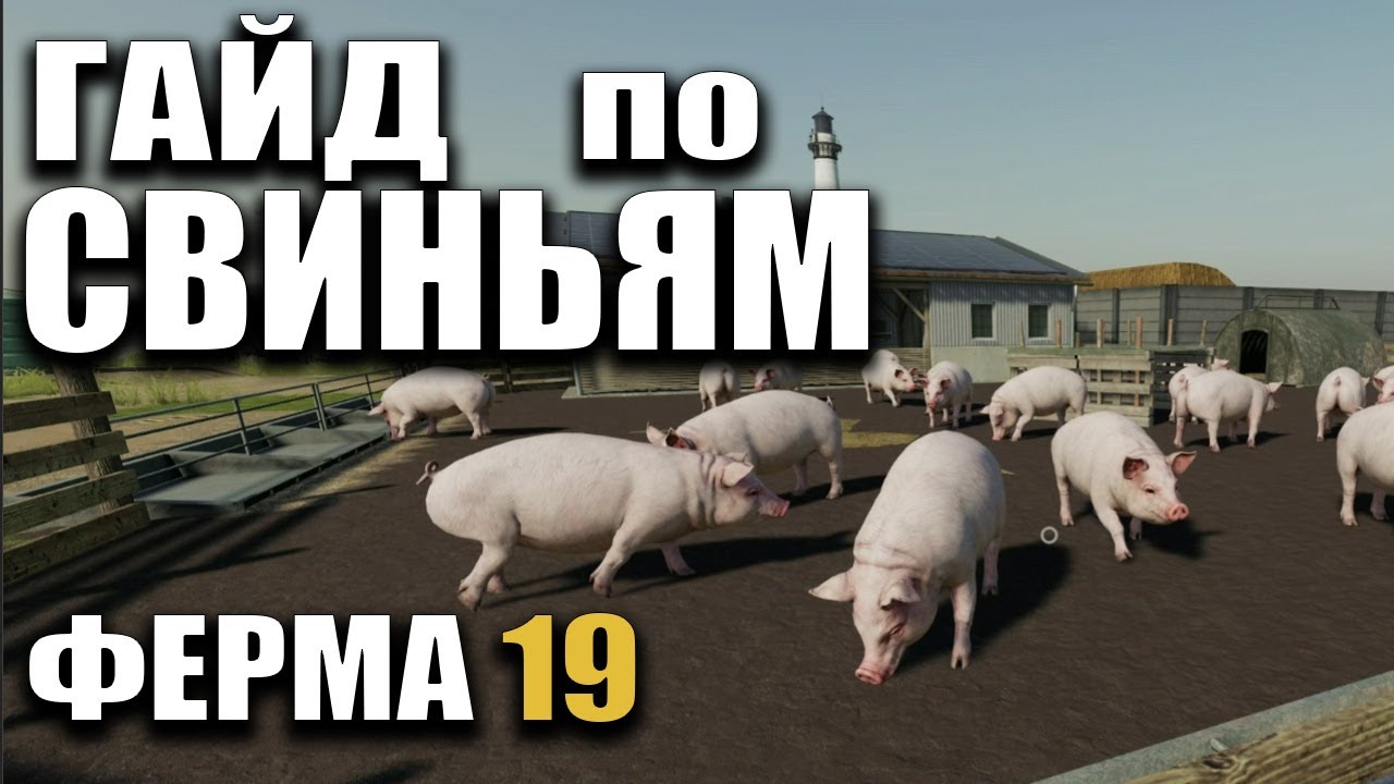 ГАЙД по СВИНЬЯМ Farming Simulator 19 | РАЗВОДИМ СВИНЕЙ В Ферме 19