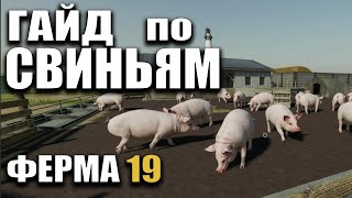 ГАЙД по СВИНЬЯМ Farming Simulator 19 | РАЗВОДИМ СВИНЕЙ В Ферме 19