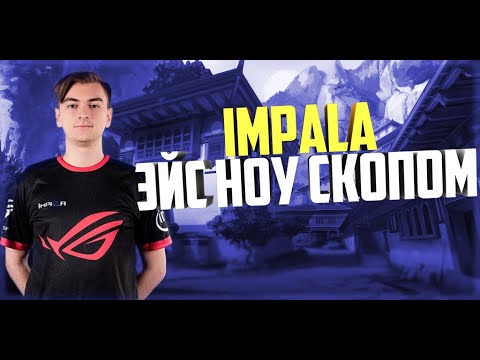 IMPALA Эйс Ноу Скопом l