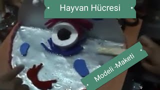 110- Hayvan Hücresi Modeli Maketi Nasıl Yapılır. Okul Seviyesi Grup Çalışması Ile Yapıldı.