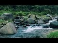 Stream Sounds for Sleep for Sleep in a Hidden Jungle – Instant Calm – Stop Overthinking