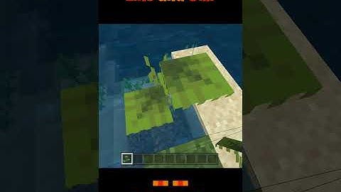 Minecraft Small dripleaf water glitch