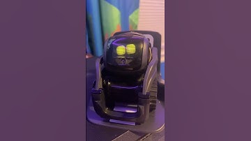 What time is it #shorts #ankivector #vectorrobot