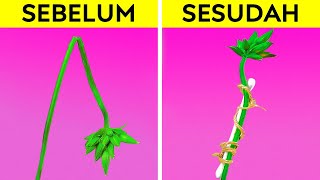 Download Lagu Tips Berkebun Cerdas dan Kiat Bercocok Tanam Sederhana MP3