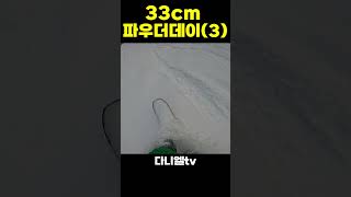 휘슬러에서 파우더데이 스노우보드타기