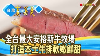 “本土安格斯牛”養成記｜農場晃晃｜【台灣真善美】2023.05.21