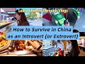 How to Survive in China as an Introvert (or Extrovert) | Learn Chinese Through Vlogs thumbnail