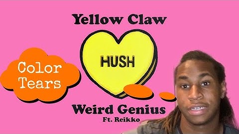Yellow Claw x Weird Genius - HUSH feat. Reikko (Official Music Video) - REACTION😮