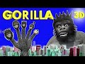 Gorilla finger family 3D in turkish 