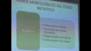 PATO GENERAL - NECROSIS (2DA CLASE) (3)