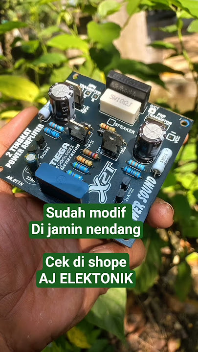 Driver 2 Tingkat modif #driverpower #poweramplifier
