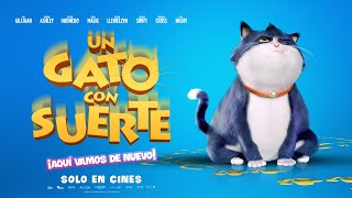 Un Gato con suerte (10 Lives) - Trailer Oficial