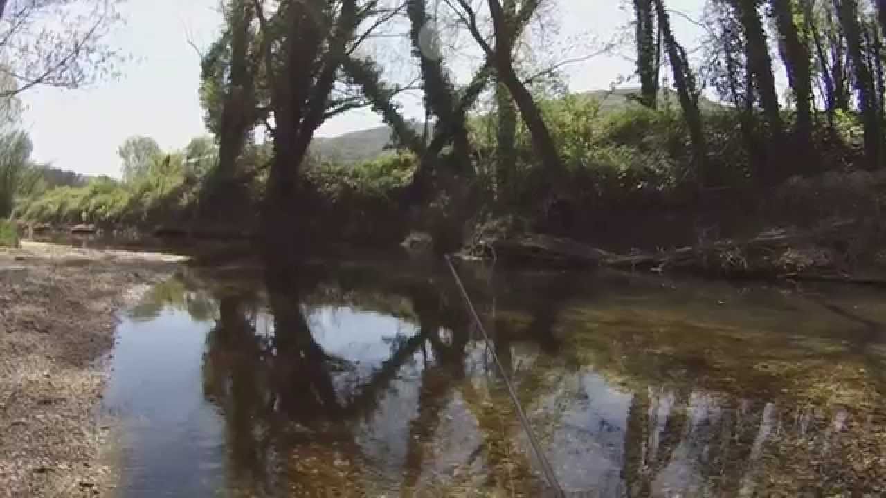 .......gnente........