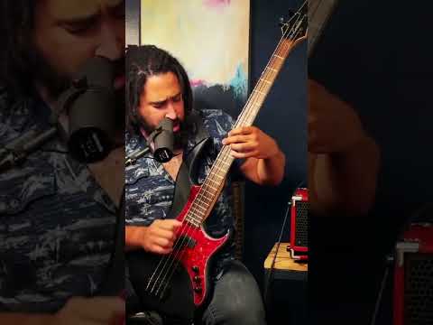 amazing bass player - YouTube