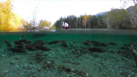 Unbounded Project 3 (Delta)