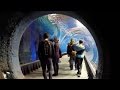 Oceanarium Afrykarium Wroclaw Poland WALKING TOUR HD 1080p ...