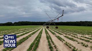 Farmers struggle with crops as climate change makes weather less predictable