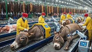 Famous Inside a Luxury Leather Jacket Factory — From Raw Hide to Runway Finish Profile