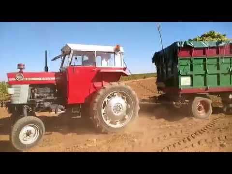 Vendimia 2018!! Villarrubia de los ojos/ MF165/3235/JD2850