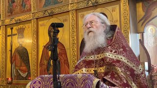 Что есть человек? Что есть Сын Человеческий? Проповедь на Евангельские чтения Мк. и Мф. 28.09.2025