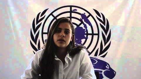 WildMUN Training Program - Amendments and Their Purpose