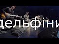 дельфіни (Сергій Бобров )