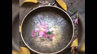 Tibet Şarkı Kasesi ve Sakura Çiçeği // İnstagram Videosu (AAE Deneme7)