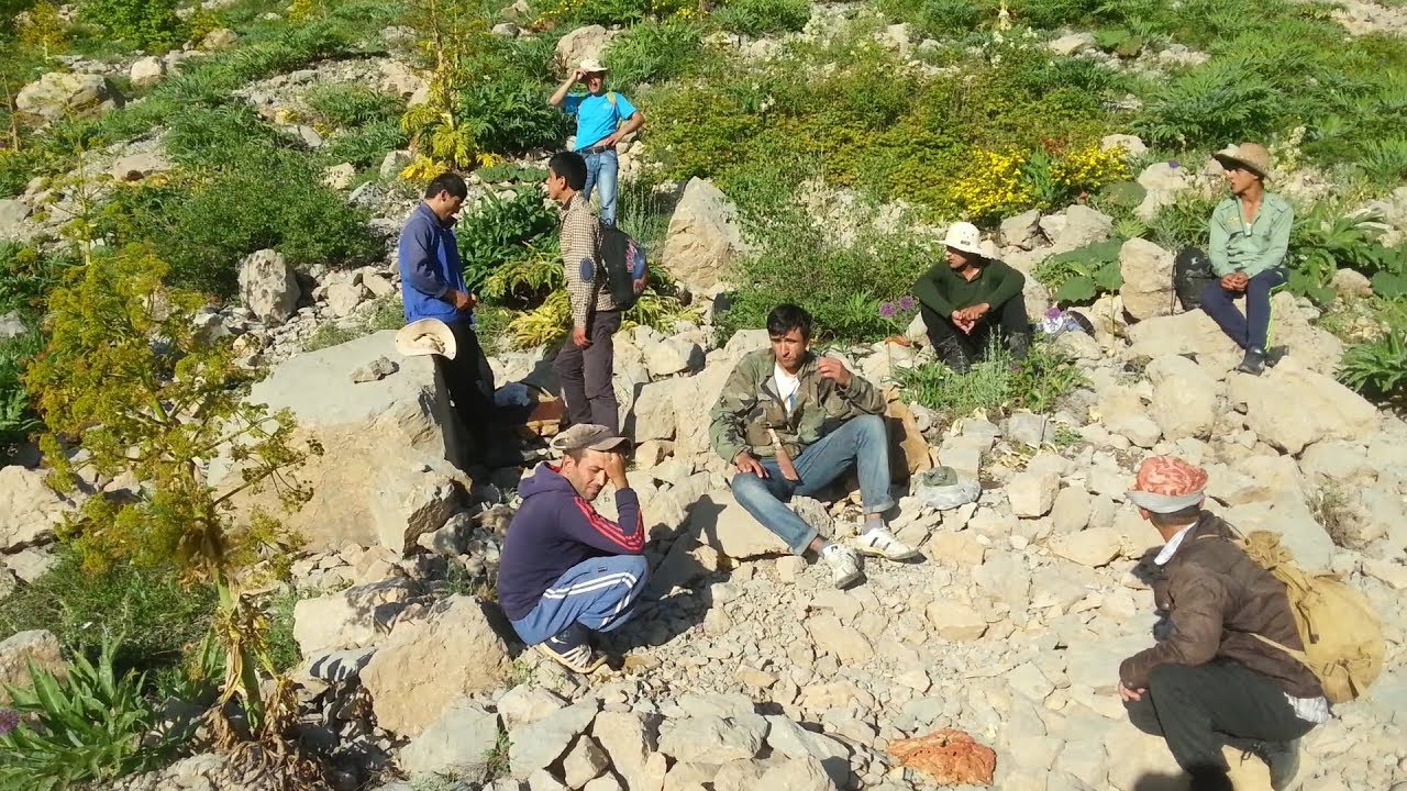 сари хосор гостиница. шайдон сари хосор. сари хосор таджикистан. сари хосор таджикистан. сари хосор таджикистан.