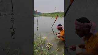 Unglaubliche Angel-Idee mit Köder!#shorts #angeln #fishing #dorfleben #bigfish #riesenfisch