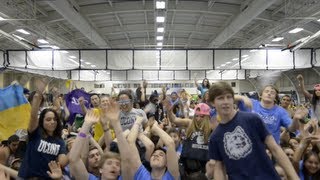Harlem Shake at UConn HuskyTHON 2013