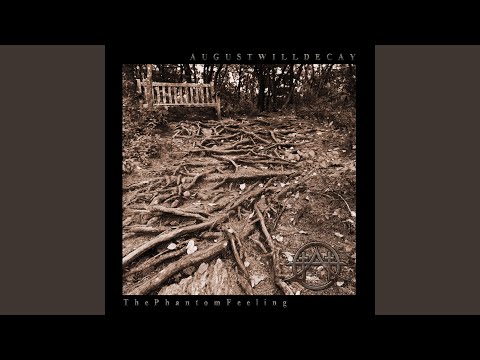 Watch Lessons on YouTube