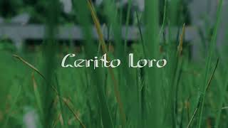 Denny Caknan  Proliman Joyo un  