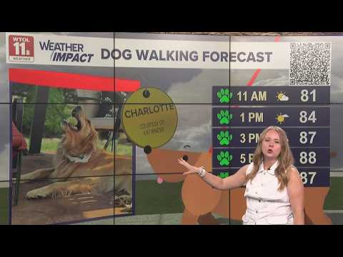 Dog walking forecast: Green paw day sunshine and clouds | Good Day on WTOL 11