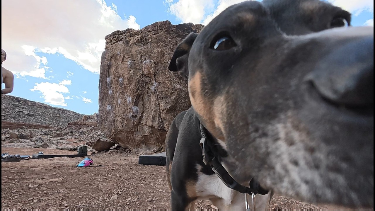 MOESeying around Moe's Valley With Mahta and Erich