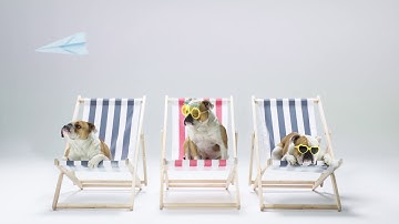 PreCheck | Lufthansa Cargo