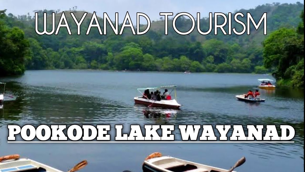 pookode lake wayanad | wayand | lake in wayanad | pokkodu lake | wayanad tourism