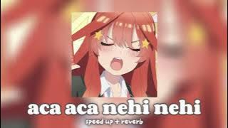 aca aca nehi nehi (speed up/reverb)